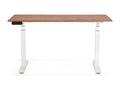 140cm Electric Adjustable Designer Desk in Walnut